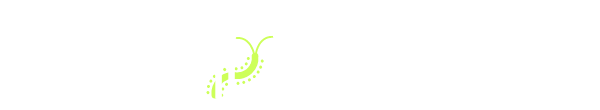 techleecher logo white green (1)